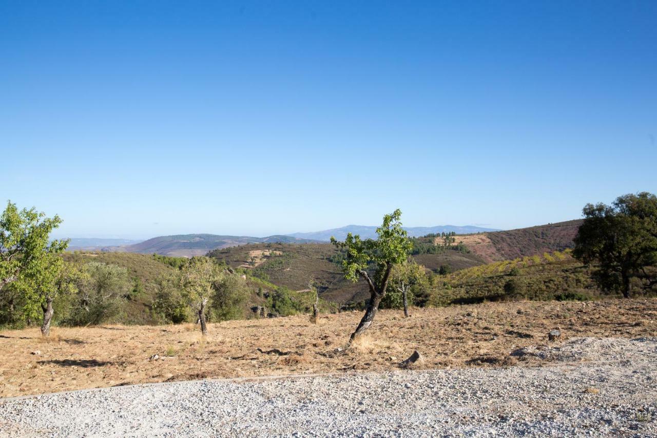 Desafios Da Horta Villa Souto da Velha Exterior foto